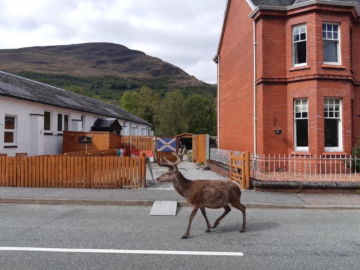 Etive Pod En Suite Glamping Kinlochleven Exterior foto